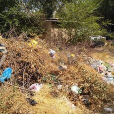 Кладбища в Шымкенте перешли на самообслуживание: Погосты не по ГОСТу