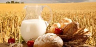 В Шымкенте подорожает хлеб, макароны и мучные изделия хлеб, молоко