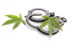 Запрещенные вещества в своей одежде пытались провезти иностранцы через границу Казахстана наручники конопля