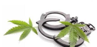 Запрещенные вещества в своей одежде пытались провезти иностранцы через границу Казахстана наручники конопля