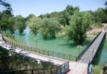 В Палату предпринимателей Шымкента поступило коллективное обращение предпринимателей дендропарк