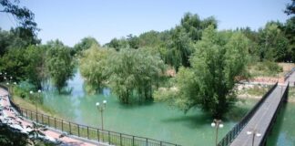 Прогноз погоды на 16 июля дендропарк