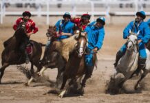 В Туркестанской области опровергли информацию, что участковый провел кокпар во время карантина кокпар