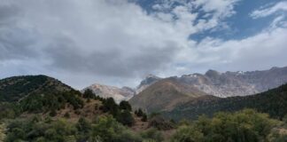 В горах ЮКО заблудились шестеро подростков спасатели