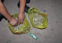 У жителя Келеса изъяли 1 кг кокнара кокнар