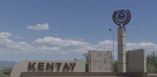 Одноклассники из Байдибекского района стали автоворами Кентау