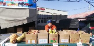 В Туркестане прошла сельскохозяйственная ярмарка ярмарка