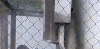 Участковые Казыгуртского РОП потушили загоревшийся трансформатор пожар