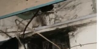 В Шымкенте в многоэтажке по улице Молдагуловой загорелись электрощиты пожар