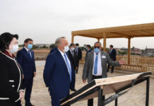 Назарбаев посетил «Старое городище Шымкент»