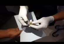 Шымкентцам напоминают об ответственности за участие в наркопреступлениях наркотики