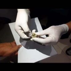 Полиция перекрыла канал поставки наркотиков в Шымкент наркотики