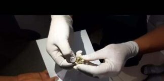 Полиция перекрыла канал поставки наркотиков в Шымкент наркотики