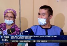 В Шымкенте провели успешную трансплантацию почек