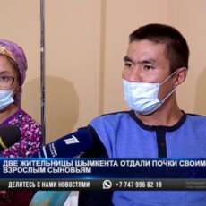 В Шымкенте провели успешную трансплантацию почек