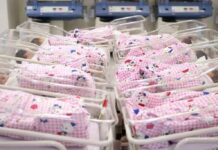 В Шымкенте в новогоднюю ночь на свет появились 16 малышей роддом дети