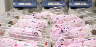 В Шымкенте количество квот на ЭКО увеличат в семь раз роддом дети