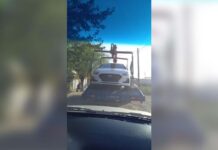 В Сарыагаше задержан водитель, сбежавший с места ДТП эвакуатор