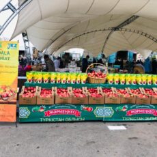 Южане вернулись с ярмарки в Нур-Султане ярмарка