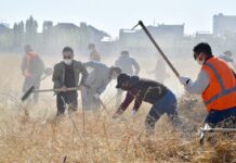 30 тысяч человек приняли участие в городском субботнике