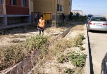 17 км арычной системы очистили в Шымкенте арык