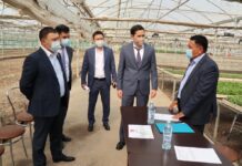 В микрорайоне Асар 100 семей займутся цветоводством Асар