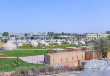 Аким Туркестана Рашид Аюпов опроверг информацию о раздаче земель в областном центре Туркестан