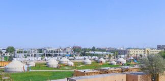 Аким Туркестана Рашид Аюпов опроверг информацию о раздаче земель в областном центре Туркестан