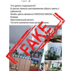 Информация о требовании убрать цветы из школьных кабинетов — фейк фейк