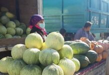 Где в Шымкенте купить продукты по доступным ценам ярмарка