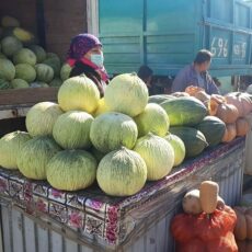 Где в Шымкенте купить продукты по доступным ценам ярмарка