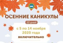 Когда начнутся осенние каникулы школьников