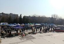 В Шымкенте сельскохозяйственная ярмарка будет проходить и по средам сельскохозяйственная ярмарка