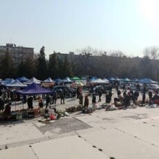 В Шымкенте сельскохозяйственная ярмарка будет проходить и по средам сельскохозяйственная ярмарка