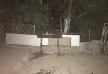 В Шымкенте мужчине запретили жарить шашлык мангал