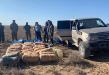 Более 800 кг наркотиков изъяли полицейские Туркестанской области наркотики