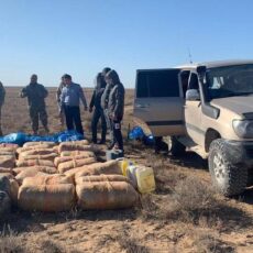 Более 800 кг наркотиков изъяли полицейские Туркестанской области наркотики