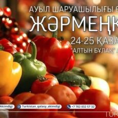 В выходные в Туркестане пройдет сельхозярмарка ярмарка