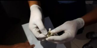 В Туркестанской области задержали подозреваемых в хранении и сбыте наркотиков марихуана,