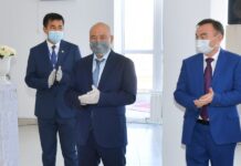 В Созакском районе заработала солнечная электростанция Умирзак Шукеев