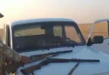 Позарился на двух чернобрюхих рябков браконьеры