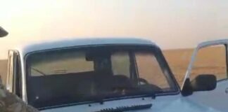 Позарился на двух чернобрюхих рябков браконьеры