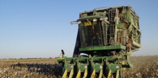 В Жетысайском районе крестьянам вернули 344 млн тенге хлопок