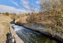 На реке Бадам в Шымкенте построят инновационную ГЭС Бадам