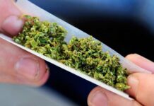 В Шымкенте арестовали мужчину с марихуаной в кармане марихуана