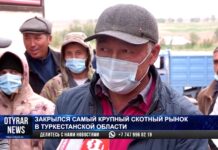 Жители и гости села Карабулак Сайрамского района просят открыть скотный рынок