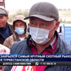 Жители и гости села Карабулак Сайрамского района просят открыть скотный рынок