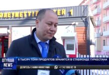 6 тысяч тонн продуктов хранится в стабфонде Туркестана