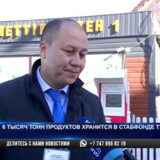 6 тысяч тонн продуктов хранится в стабфонде Туркестана