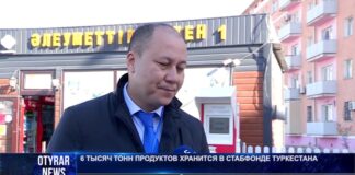6 тысяч тонн продуктов хранится в стабфонде Туркестана